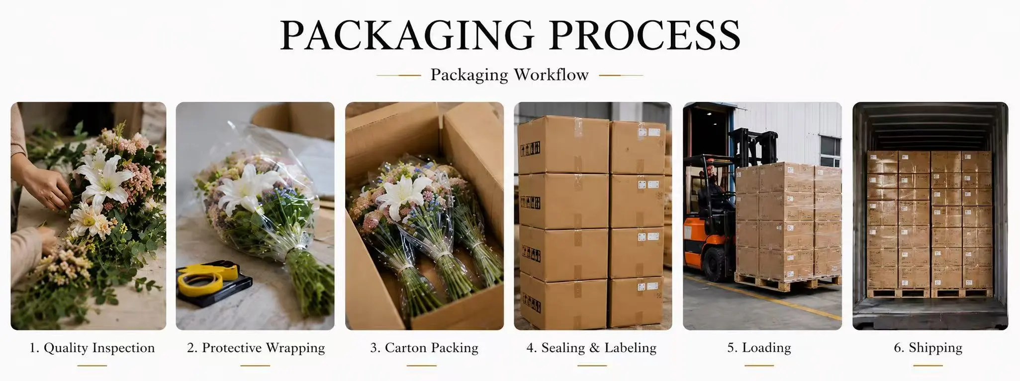 PACKAGING PROCESS