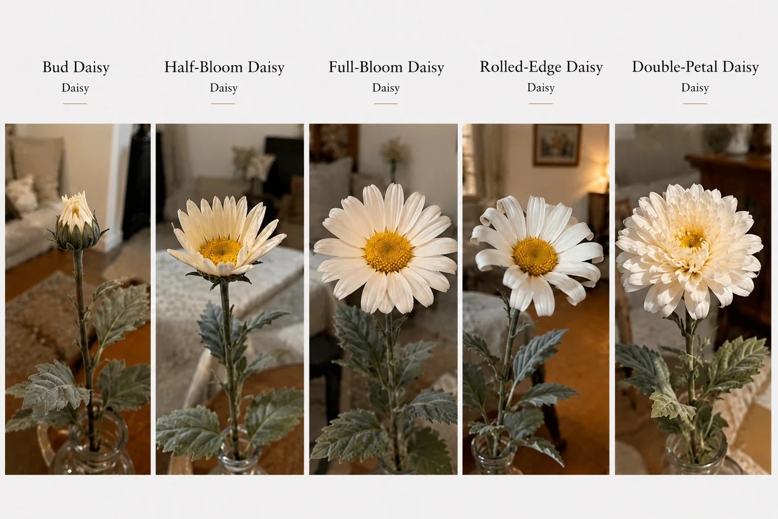 Artificial Half Bloomed Small Daisies Artificial Half Bloomed Small Daisies