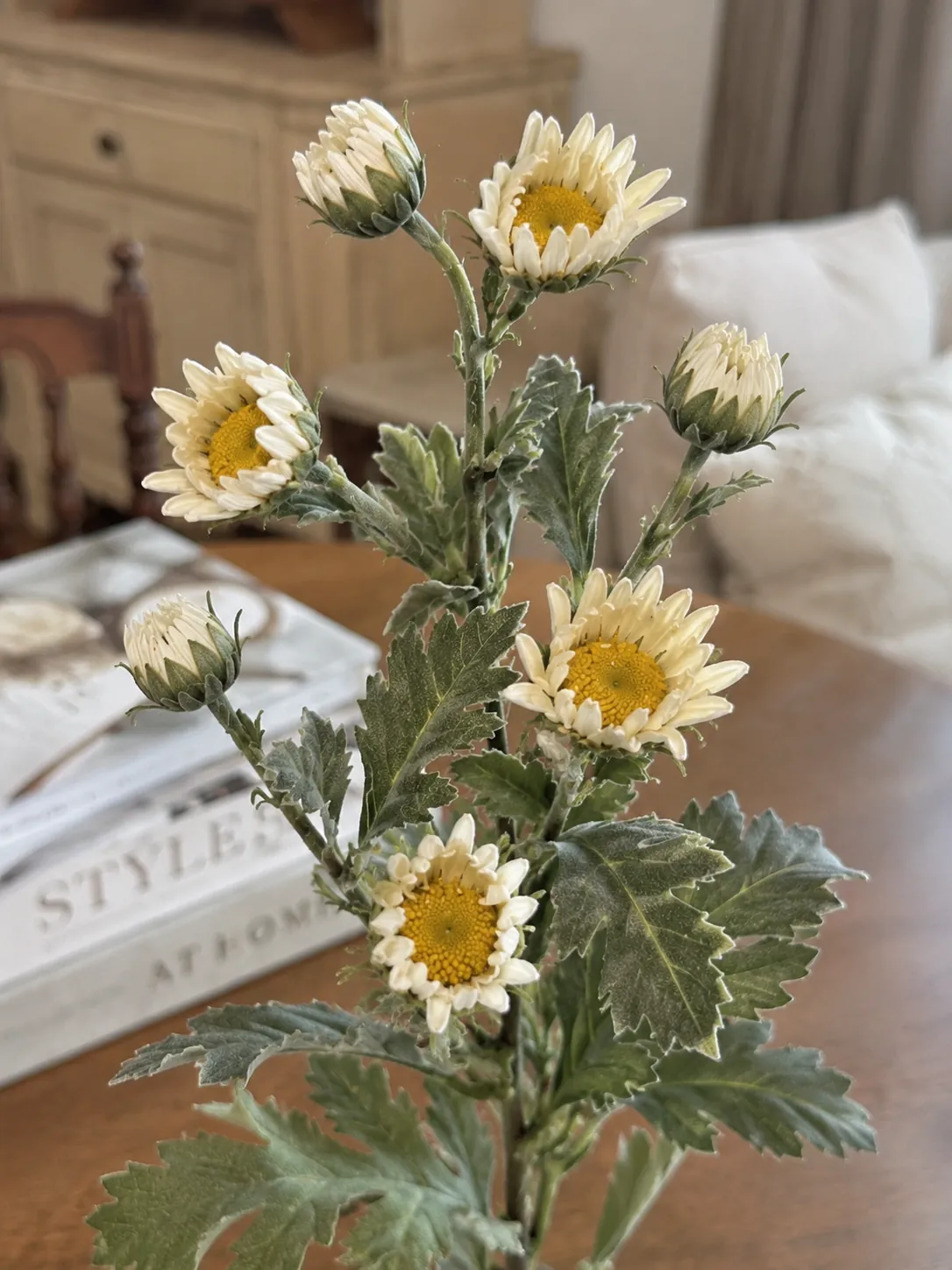 Artificial Half Bloomed Small Daisy for Romantic Event Styling