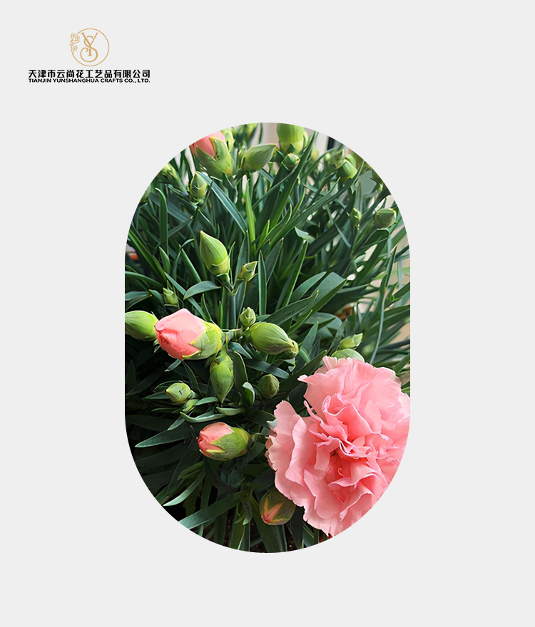 Artificial Bud Carnation