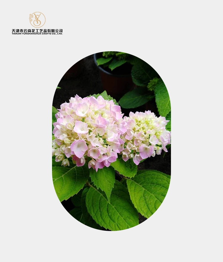 Artificial Bud Hydrangea