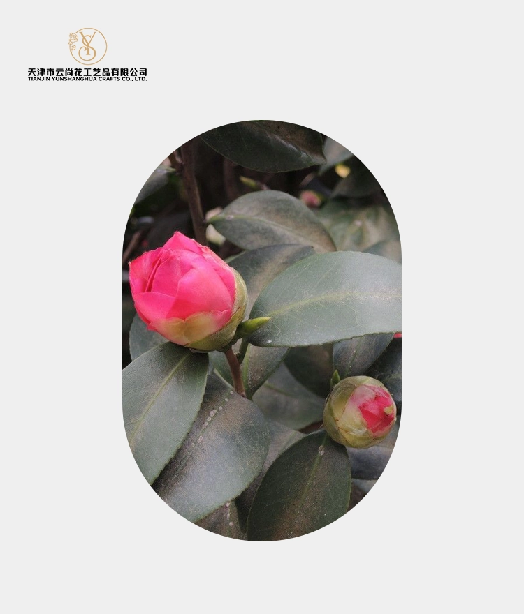 Artificial Camellia Bud