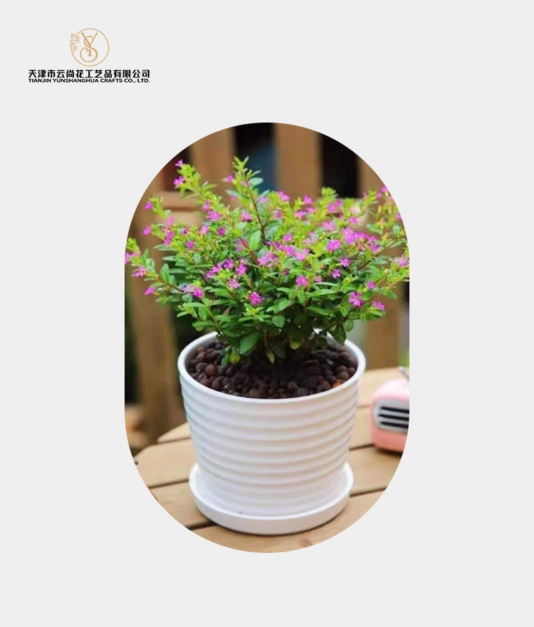 Artificial Closed Bud Gypsophila