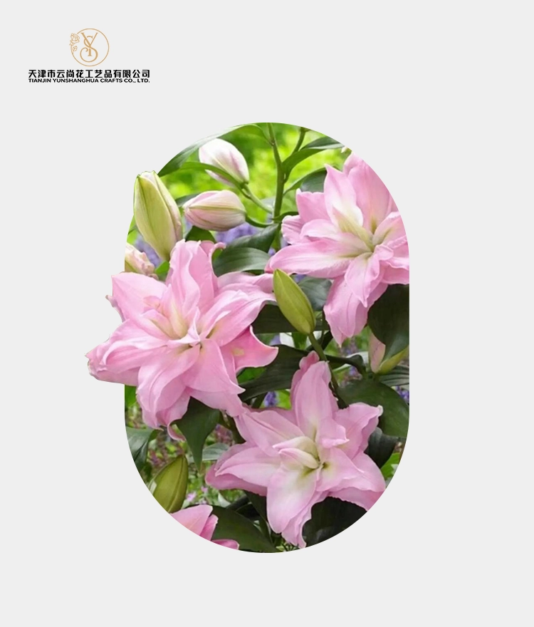 Artificial Double Petal Silk Lily