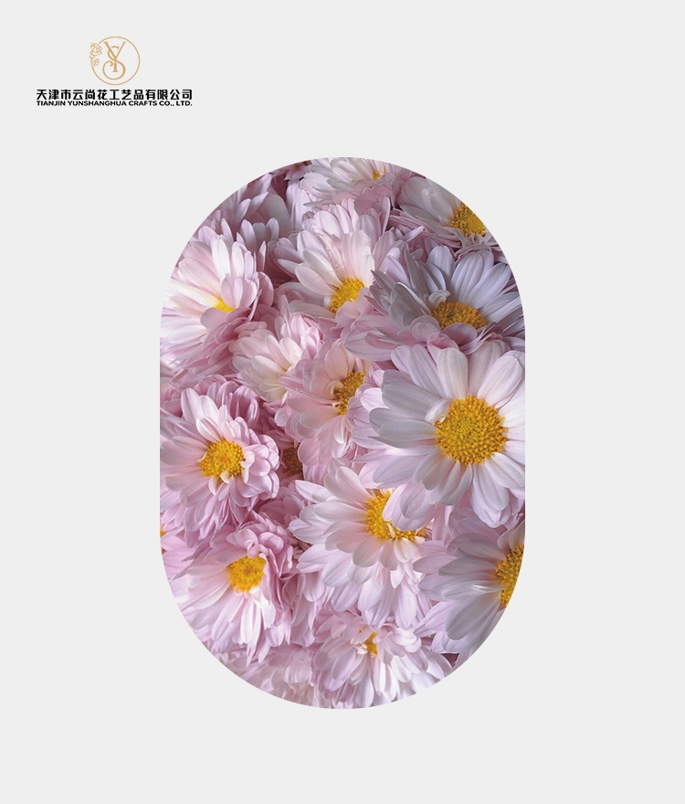 Artificial Double Petal Small Daisy