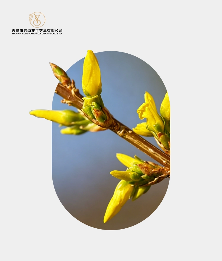 Artificial Forsythia Flower Buds