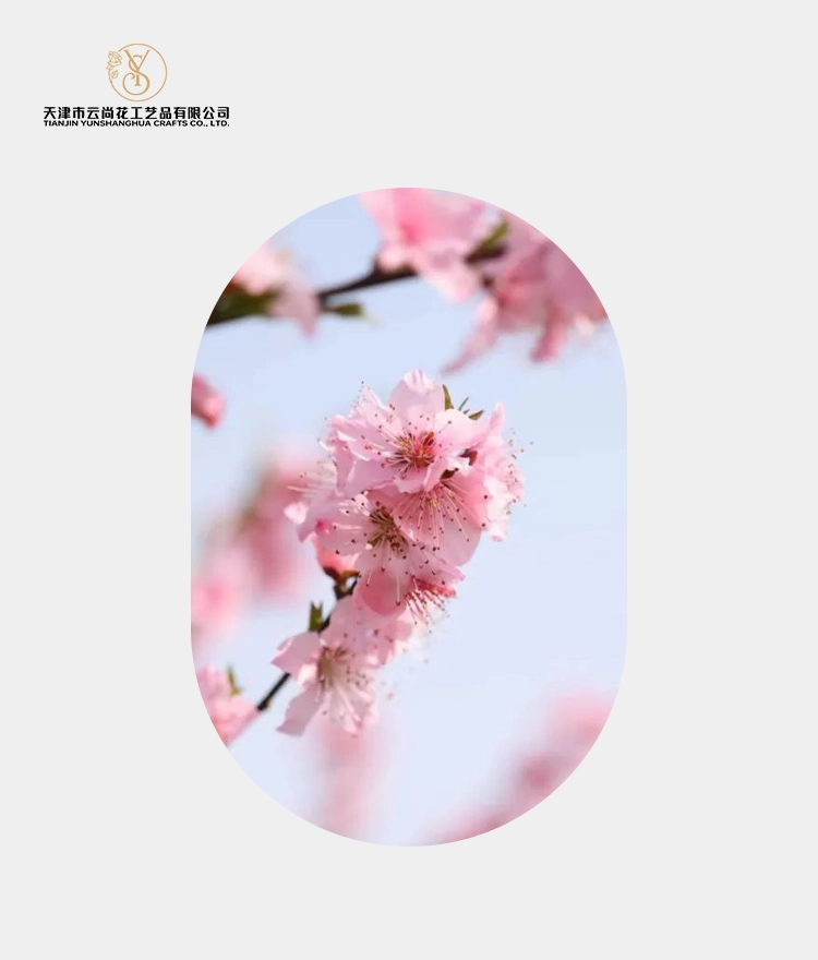 Artificial Full Bloom Peach Blossom