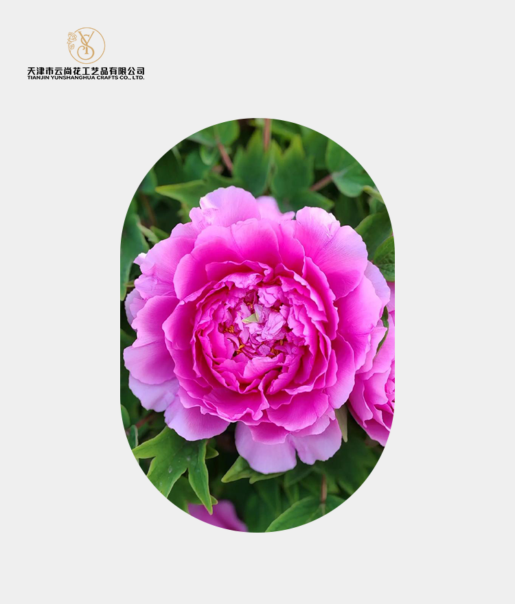 Artificial Fully Bloomed Giant Peony