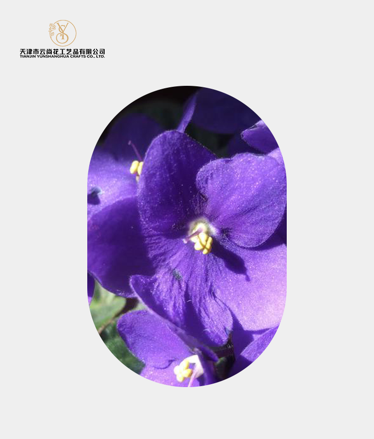 Artificial Fully Bloomed Standard Violet