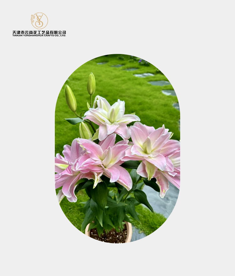 Artificial Fully Opened Single Lily