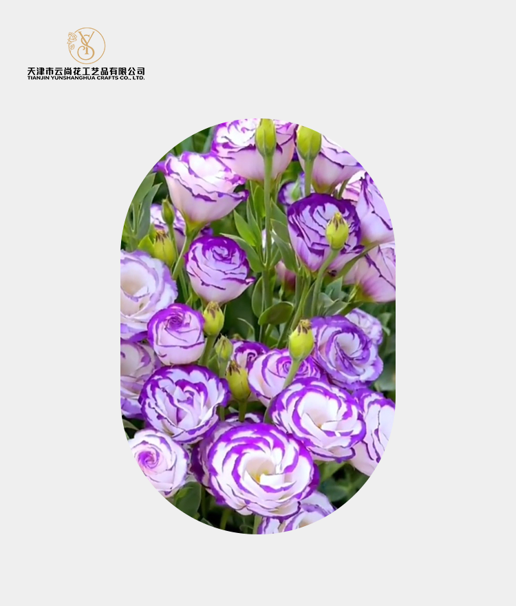 Artificial Fully Opened Single Petal Eustoma