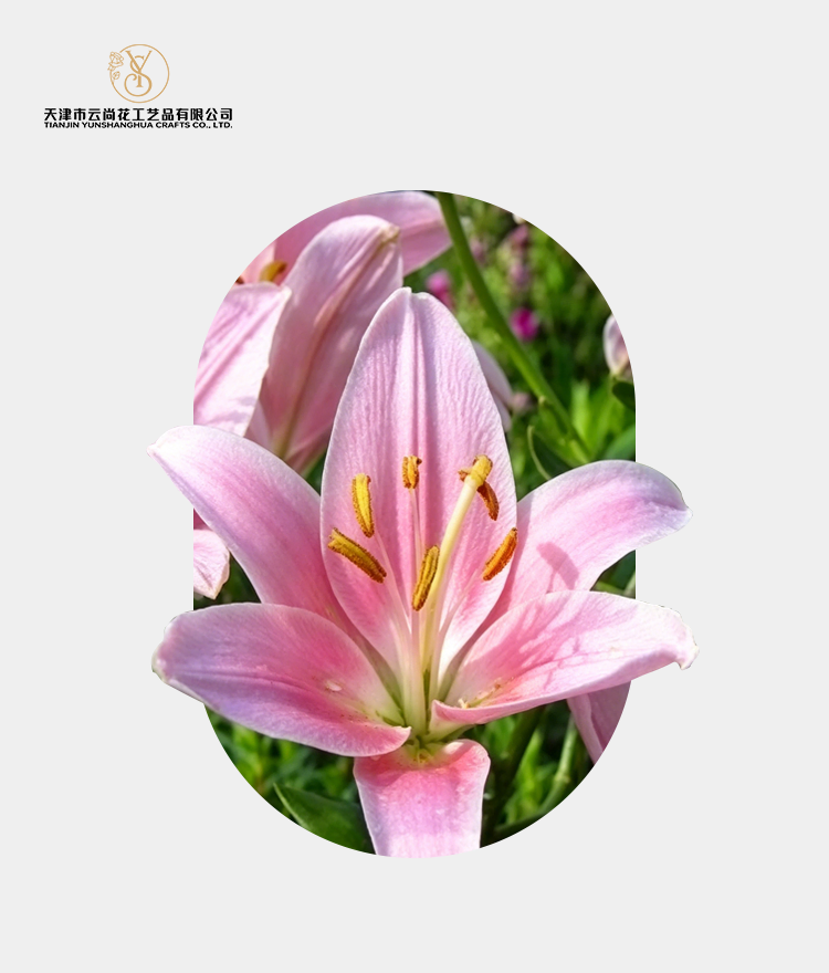 Artificial Half Bloom Lily