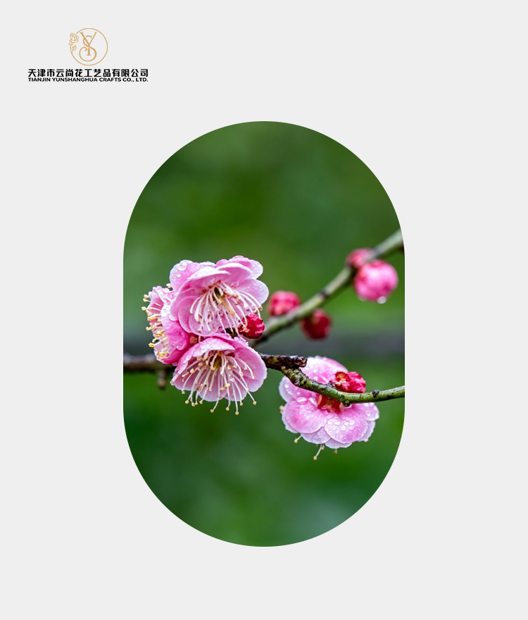 Artificial Half Bloom Peach Blossom