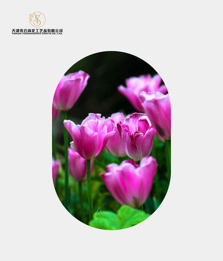 Artificial Half Bloom Single Tulip