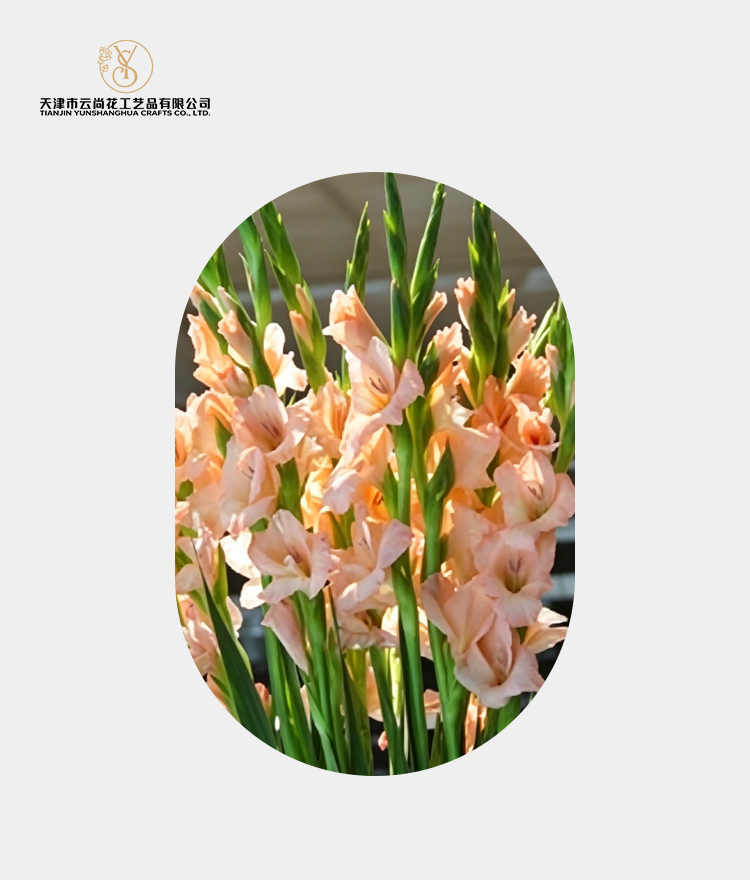 Artificial Half Bloomed Gladiolus