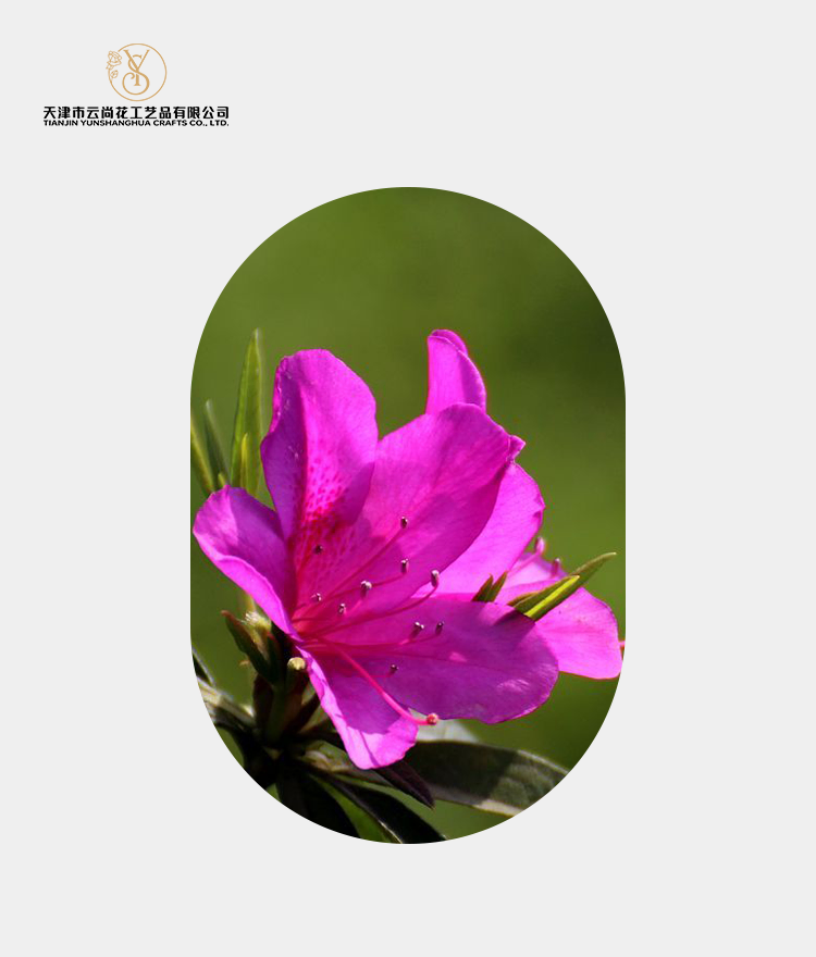 Artificial Half Blooming Azalea
