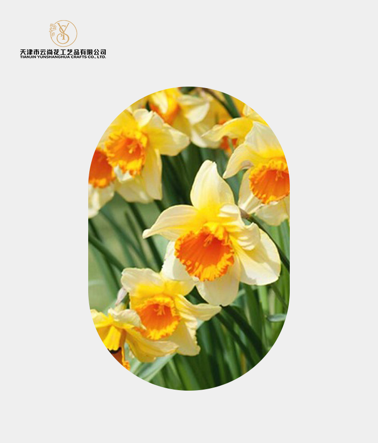 Artificial Half Blooming Daffodil