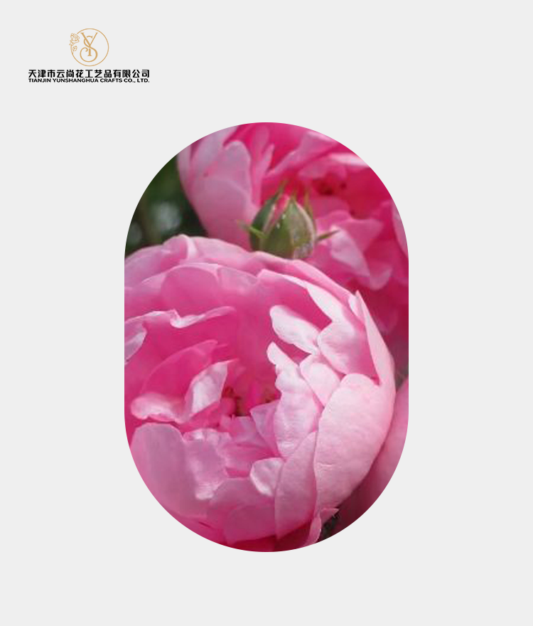 Artificial Half Blooming Peony