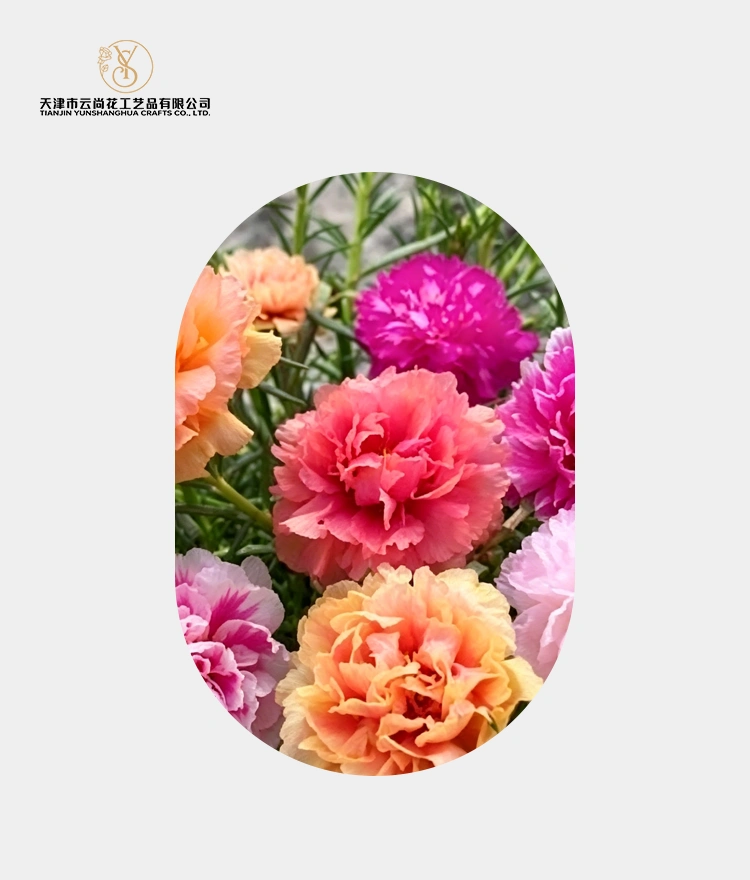 Artificial Layered Double Peony