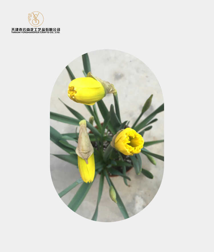 Artificial Narcissus Bud