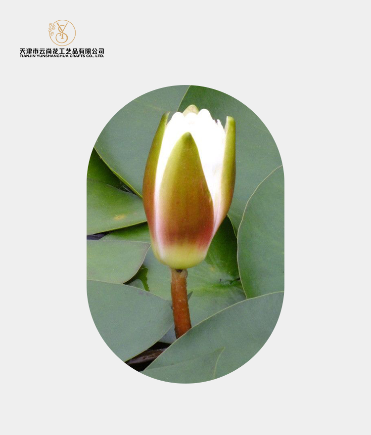 Artificial Perfume Lily Bud
