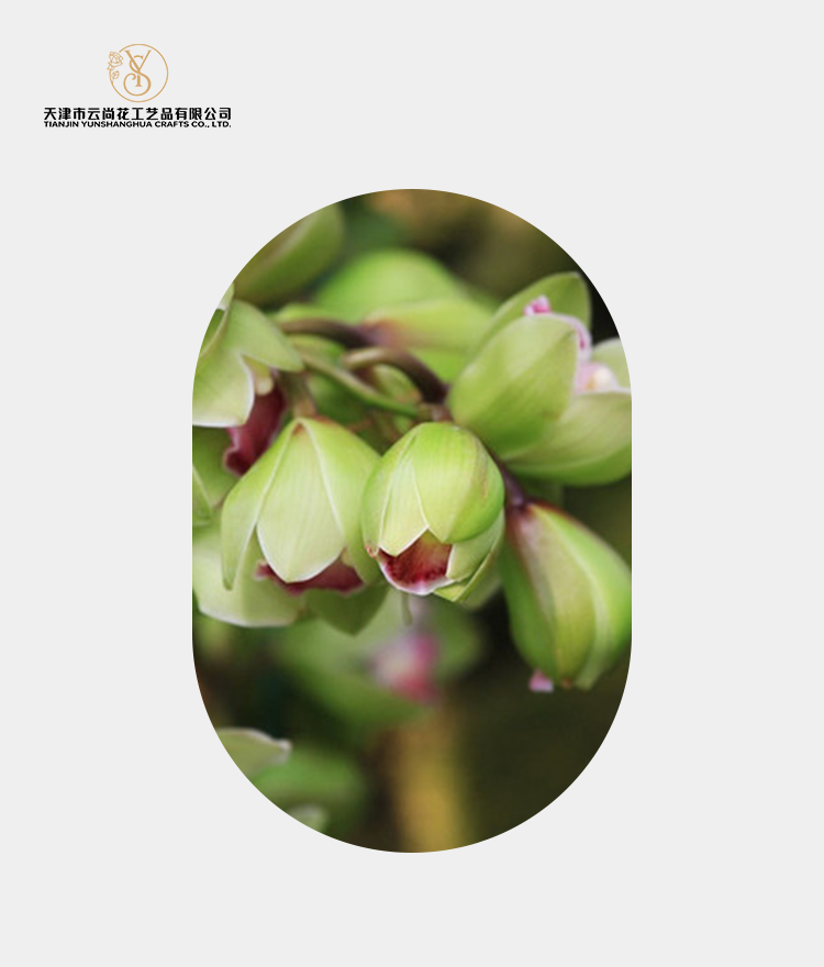 Artificial Phalaenopsis Bud