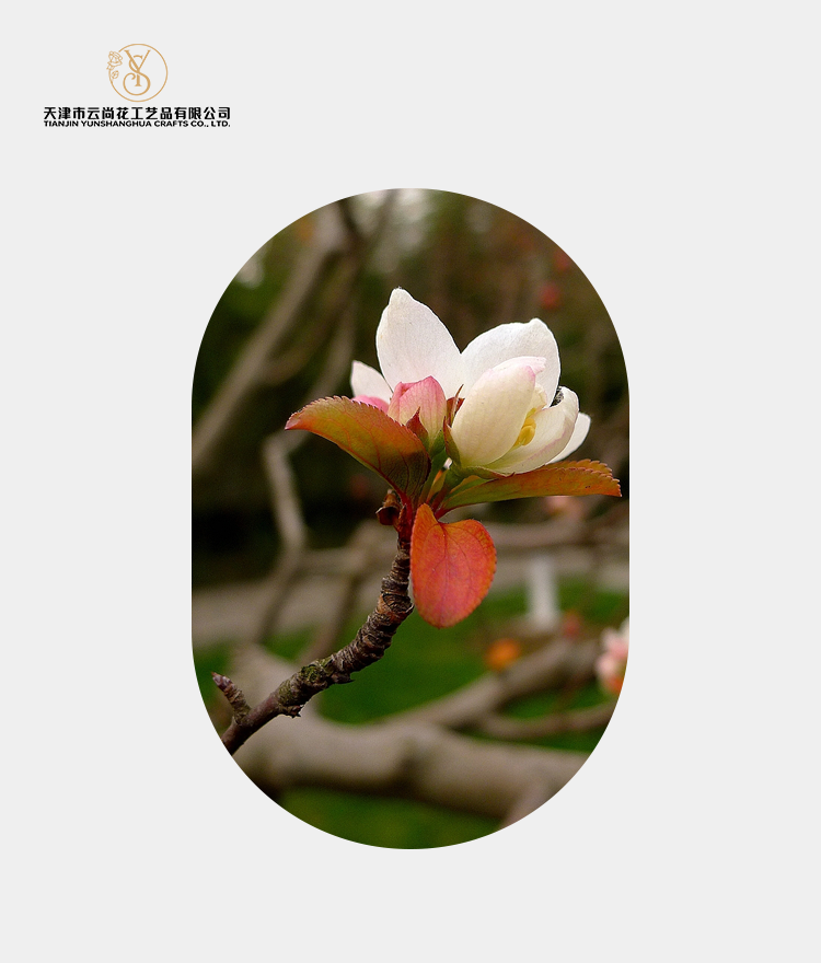 Artificial Ruffled Crabapple