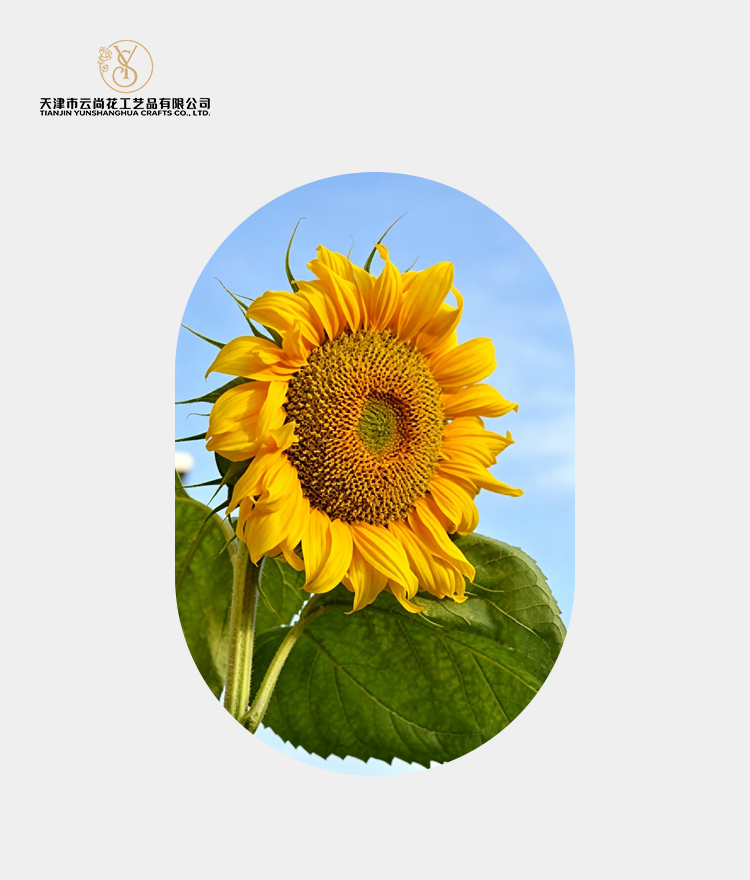 Artificial Ruffled Sunflower