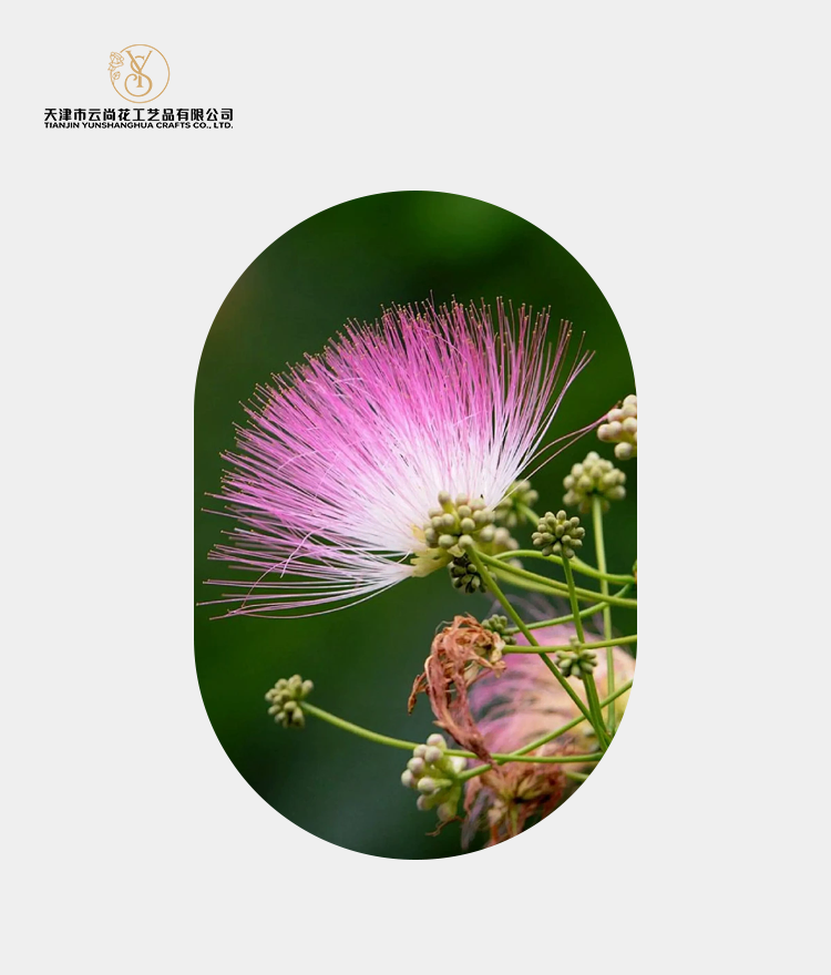 Artificial Standard Full Bloom Albizia Flower