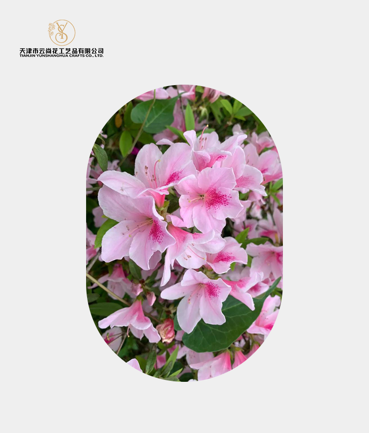Artificial Standard Full Bloom Azalea