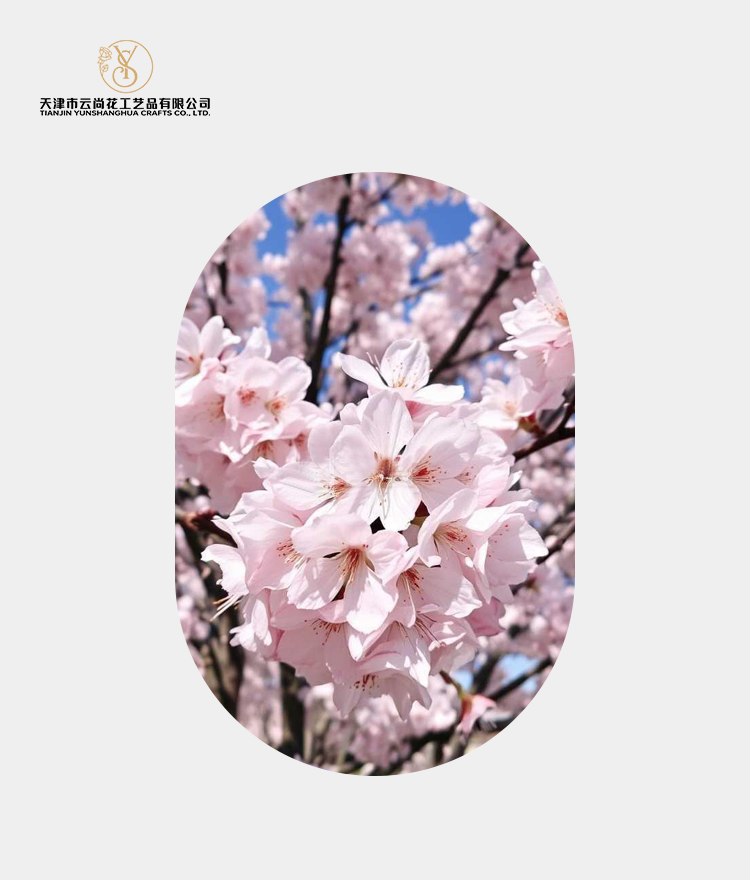 Artificial Standard Full Bloom Cherry Blossom
