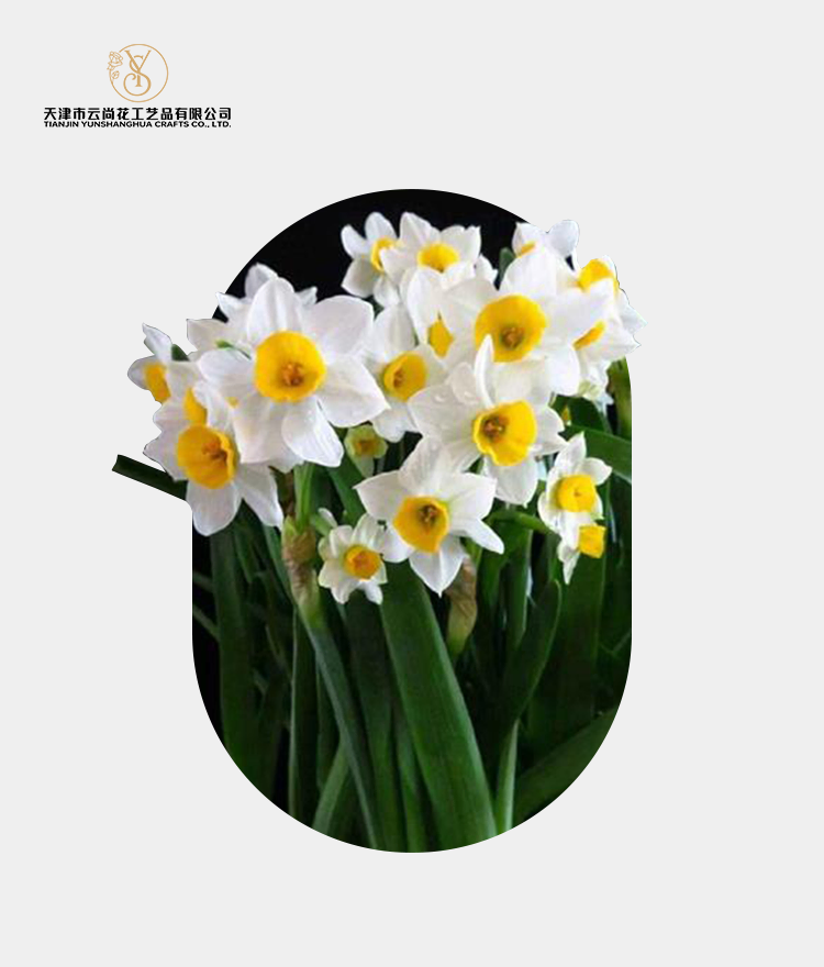 Artificial Standard Full Bloom Daffodil