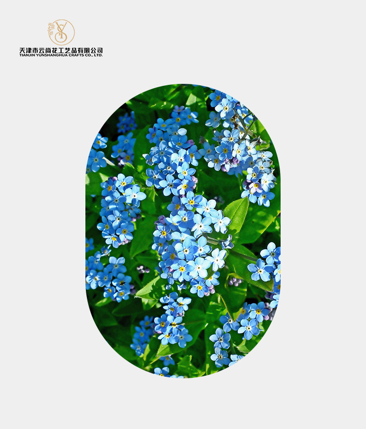 Artificial Standard Full Bloom Forget Me Not