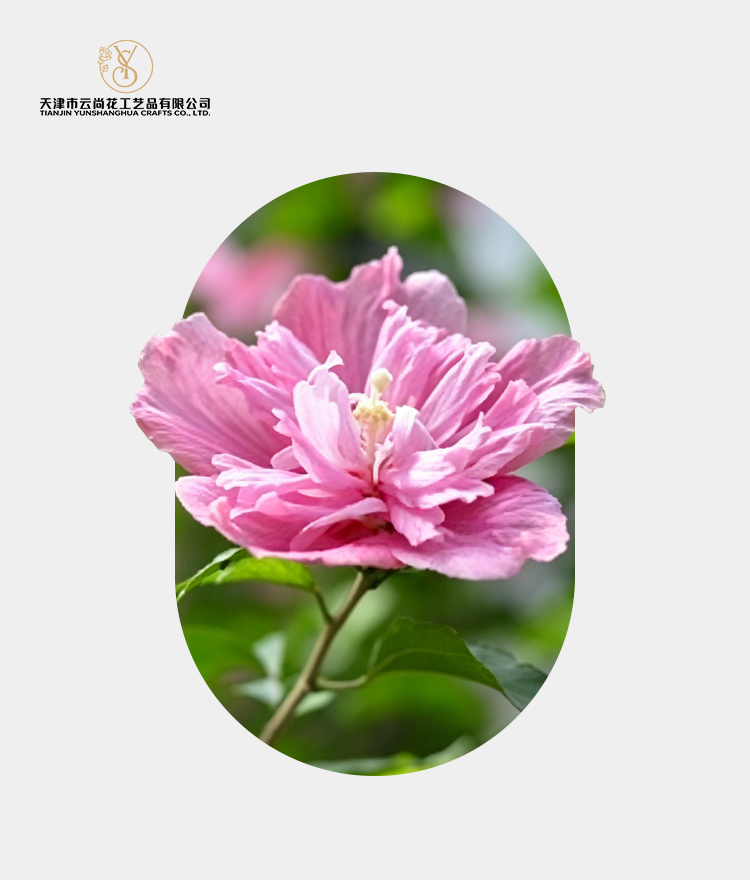 Artificial Standard Full Bloom Hibiscus