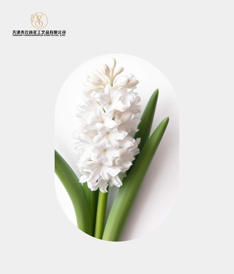 Artificial Standard Full Bloom Hyacinth