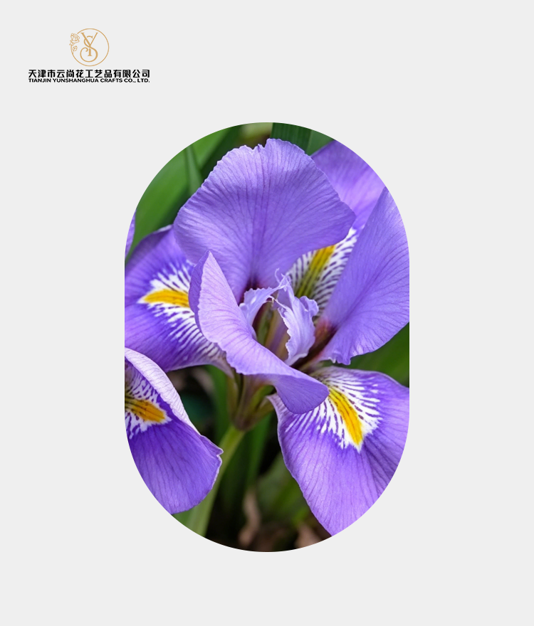 Artificial Standard Full Bloom Iris