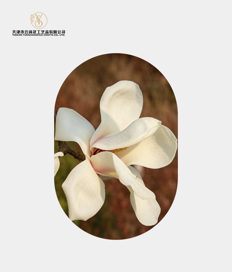 Artificial Standard Full Bloom Magnolia