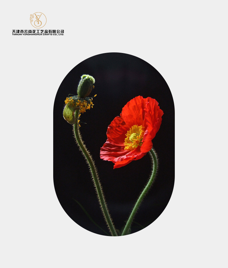 Artificial Standard Full Bloom Poppy