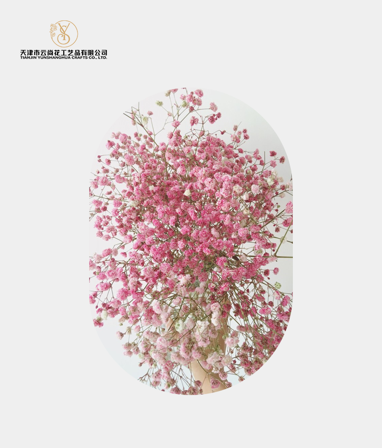 Artificial Standard Fully Opened Baby'S Breath