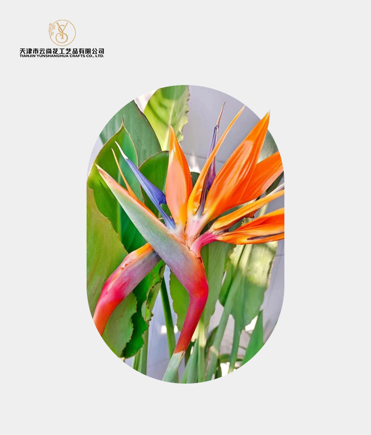 Artificial Standard Fully Opened Bird Of Paradise