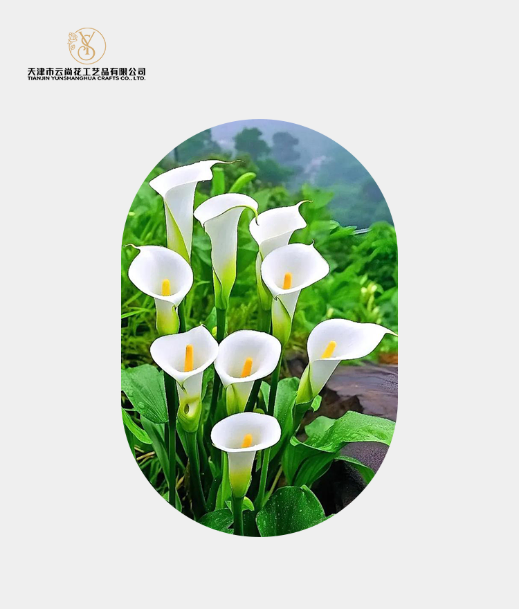 Artificial Standard Fully Opened Calla Lily