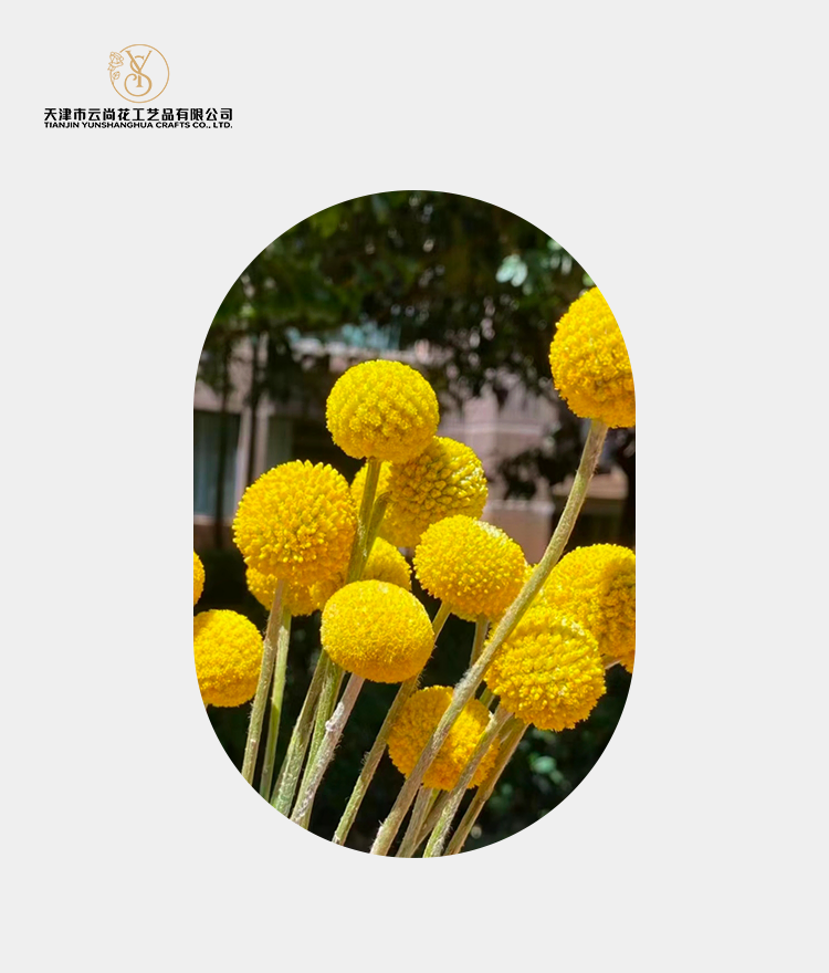 Artificial Standard Fully Opened Golden Drum Flower