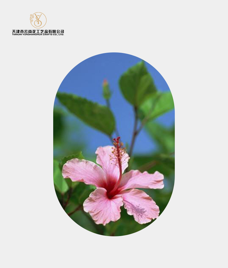 Artificial Standard Fully Opened Hibiscus Flower