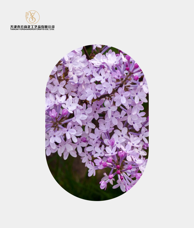Artificial Standard Fully Opened Lilac