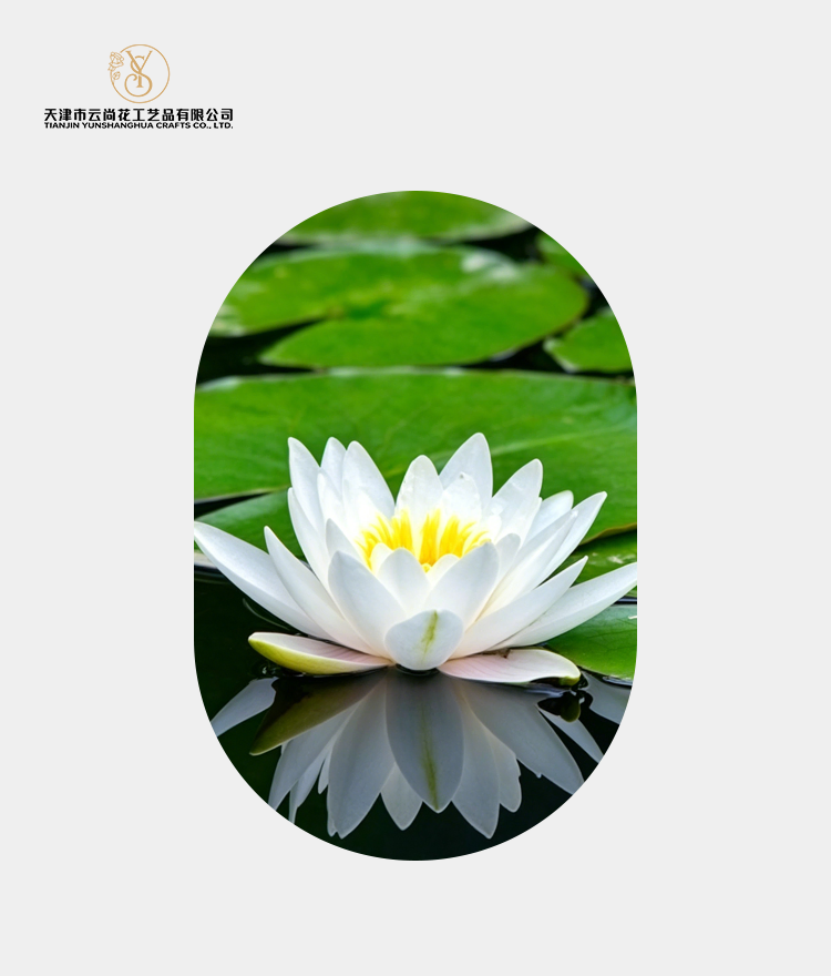 Artificial Standard Fully Opened Water Lily
