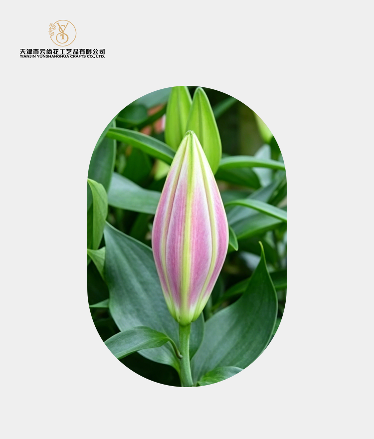 Artificial Tight Closed Lily Bud