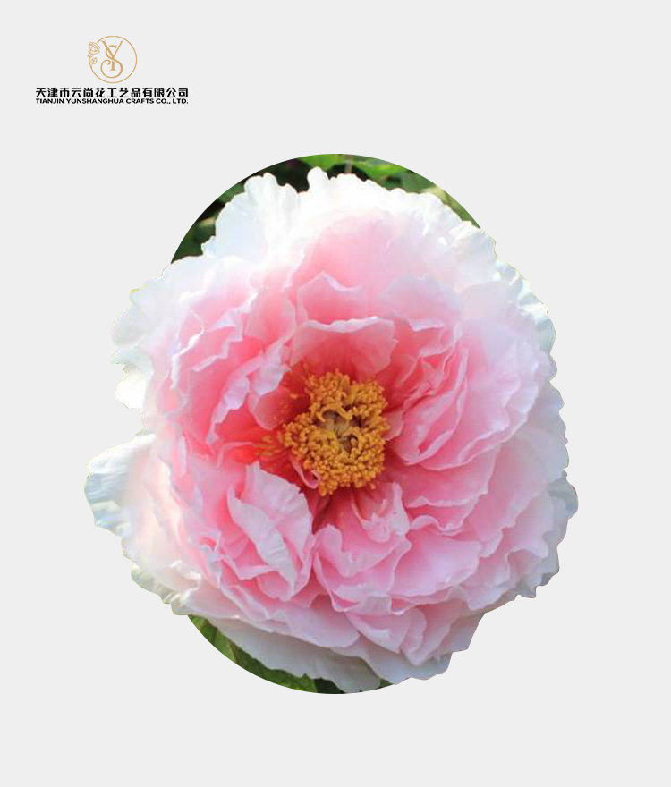 Heart Peony Artificial Flowers